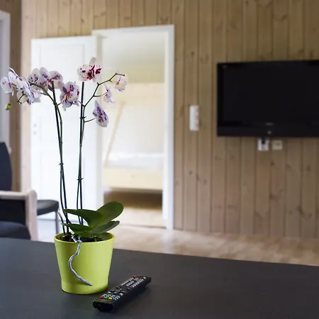 Mikkelparken Ferietun База отдыха Кинсарвик